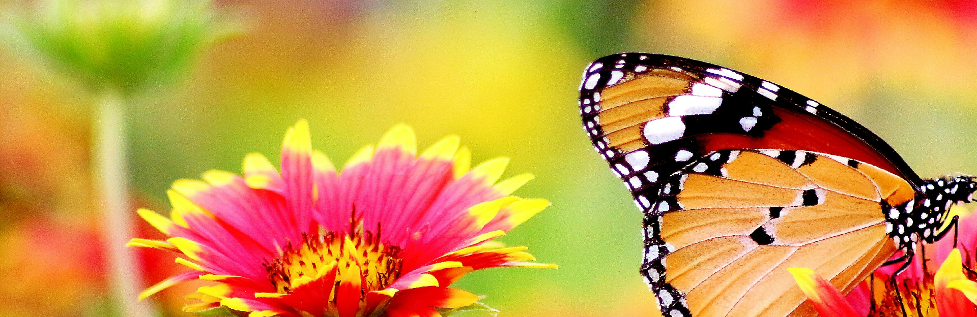 https://admin.virtualfairways.com/uploads/blog/1752241774804_cropped-banner-image.png