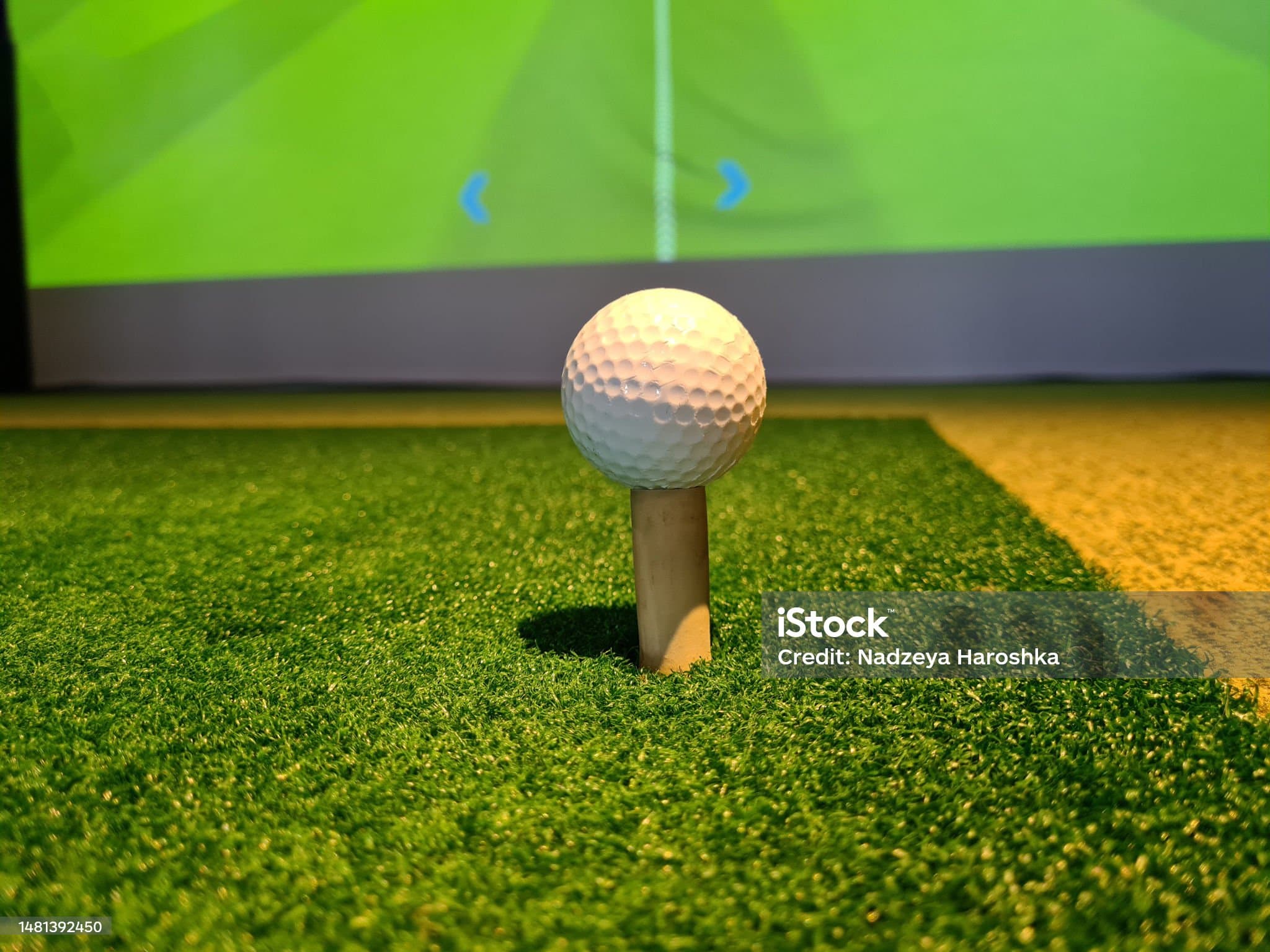 https://admin.virtualfairways.com/uploads/golf-simulator-booking-software/1754044784391_istockphoto-1481392450-2048x2048.jpg